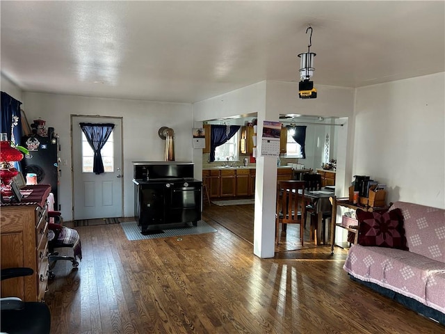 living room featuring dark wood-type flooring and sink