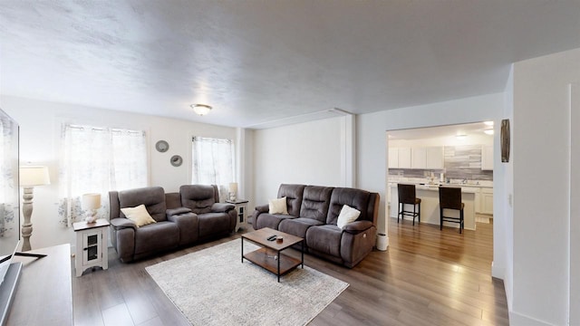 living room with dark hardwood / wood-style floors