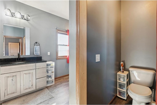 bathroom with vanity, hardwood / wood-style floors, and toilet