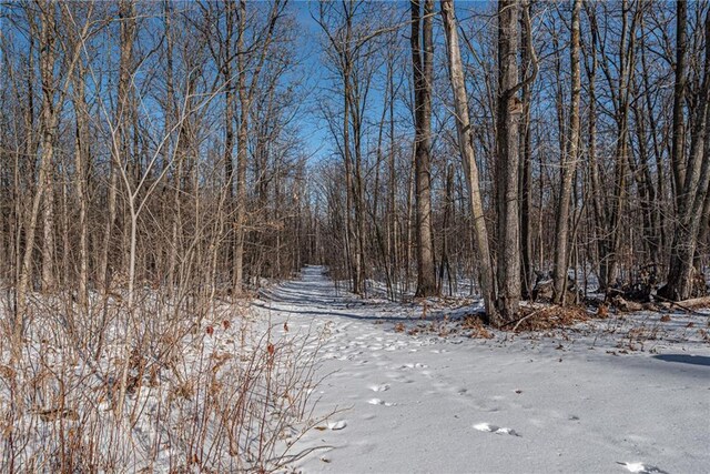 W268 County Highway A, Stone Lake, WI 54876 - view of road