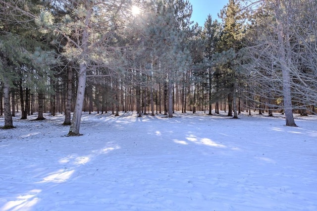 401 E Riverside Ave, Merrill, WI 54452 - view of yard layered in snow