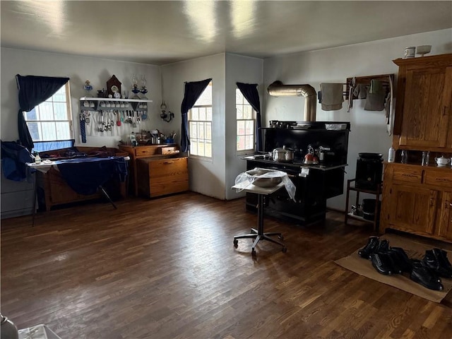 kitchen featuring dark hardwood / wood-style floors