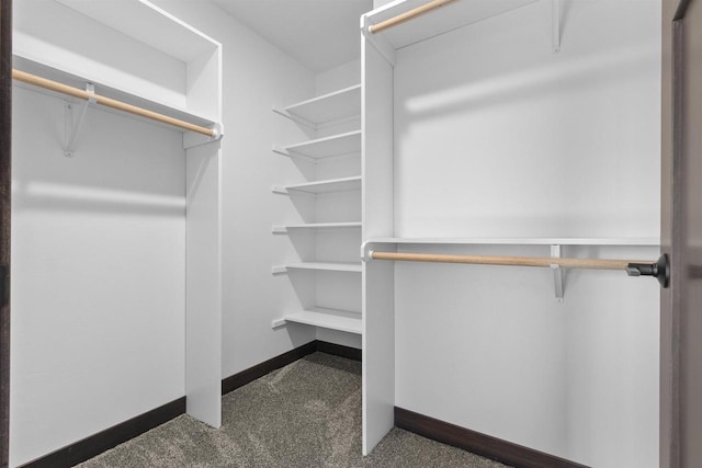 spacious closet with dark carpet