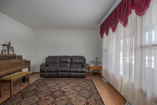 living room featuring wood-type flooring