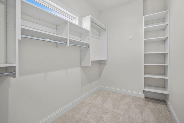 spacious closet with light colored carpet