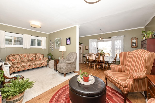 living room featuring ornamental molding and hardwood / wood-style floors