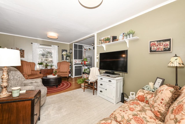 living room featuring crown molding and light hardwood / wood-style floors