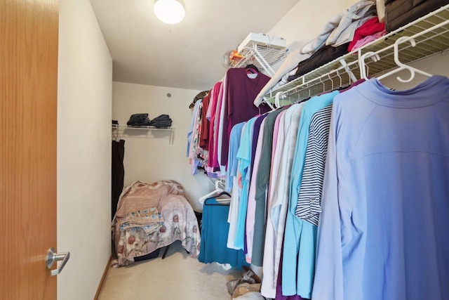 walk in closet featuring carpet flooring