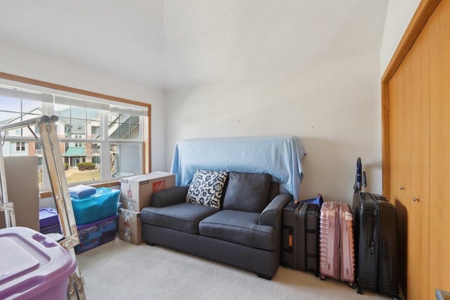 living room with carpet floors