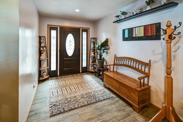 entryway featuring wood-type flooring