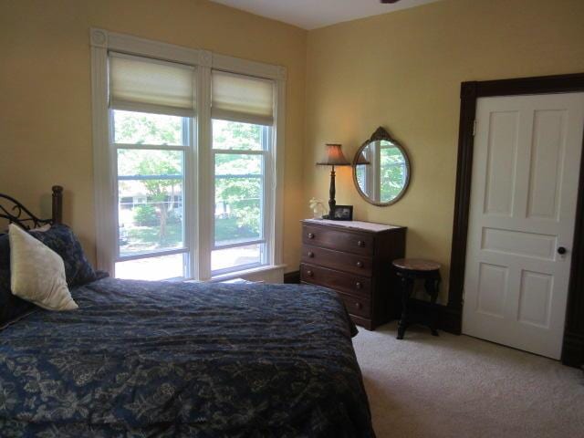 bedroom with carpet floors