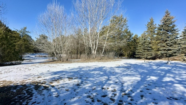 view of yard layered in snow