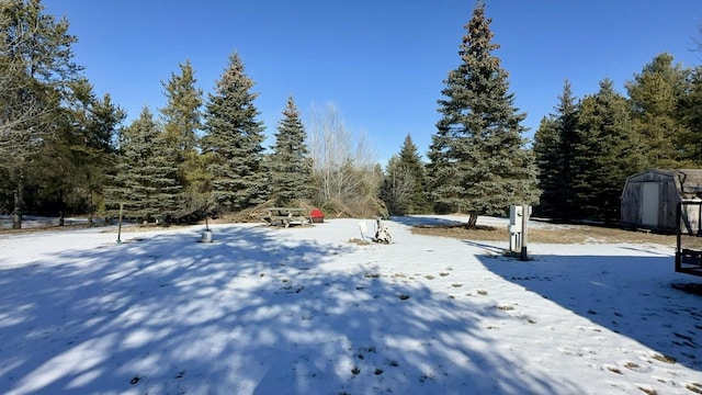 view of snowy yard