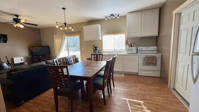 dining area with ceiling fan, sink, and light hardwood / wood-style floors