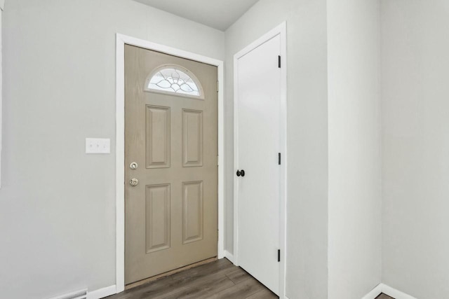 entryway featuring wood-type flooring