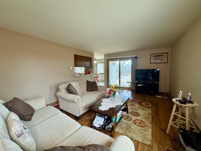 living room featuring dark hardwood / wood-style flooring