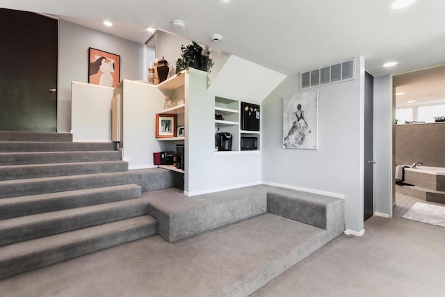 staircase with carpet floors