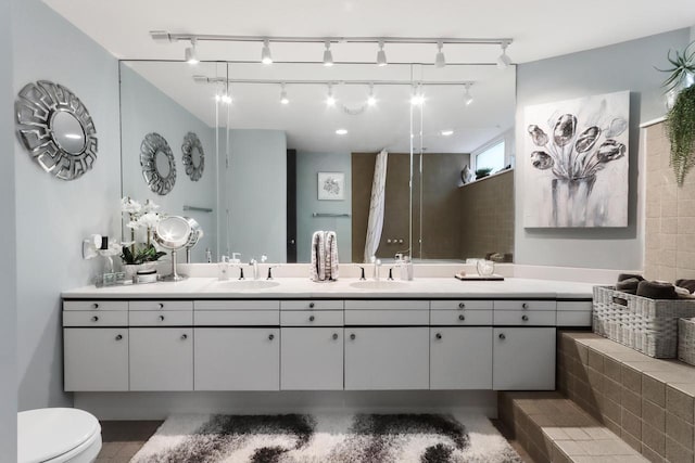 bathroom with vanity and toilet