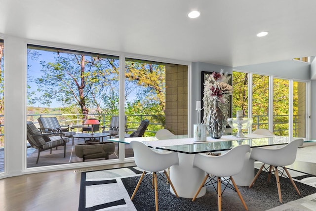 view of sunroom / solarium