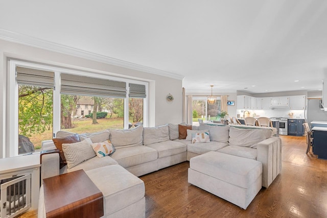 living room featuring hardwood / wood-style flooring and ornamental molding