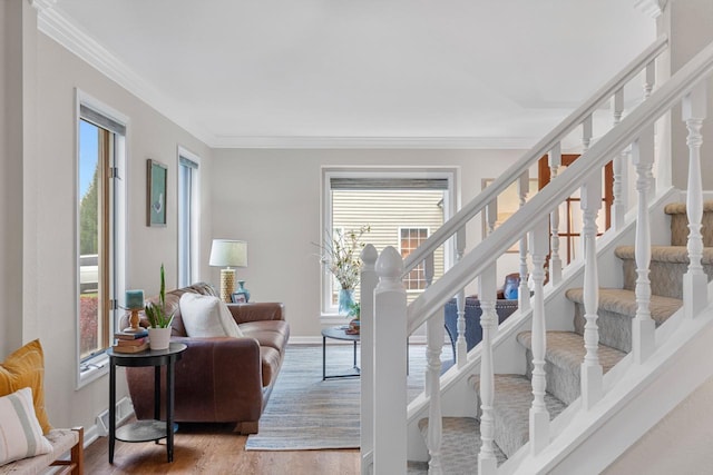 living room featuring hardwood / wood-style flooring and crown molding