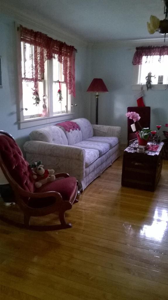 living area featuring hardwood / wood-style flooring