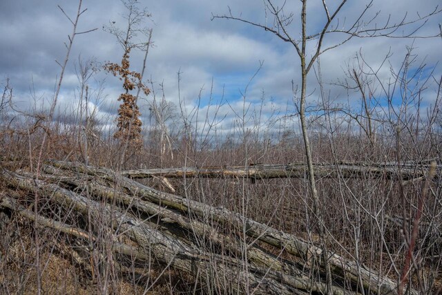 18.50AC Grosbeak Ave, Tomah, WI 54660