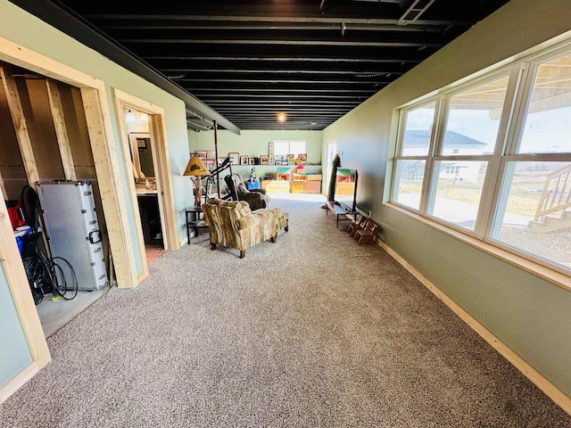 basement with carpet floors