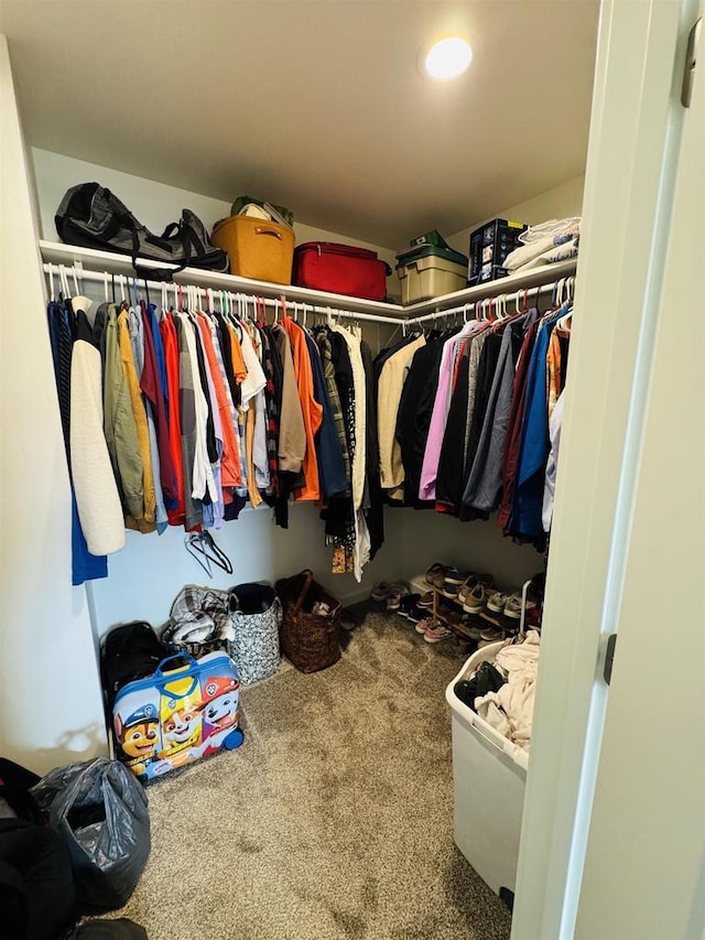 spacious closet with carpet flooring