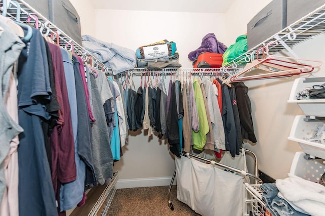 spacious closet with carpet floors