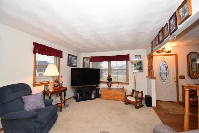 living room featuring carpet floors