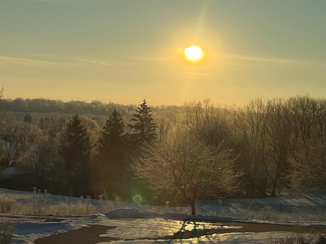 view of local wilderness