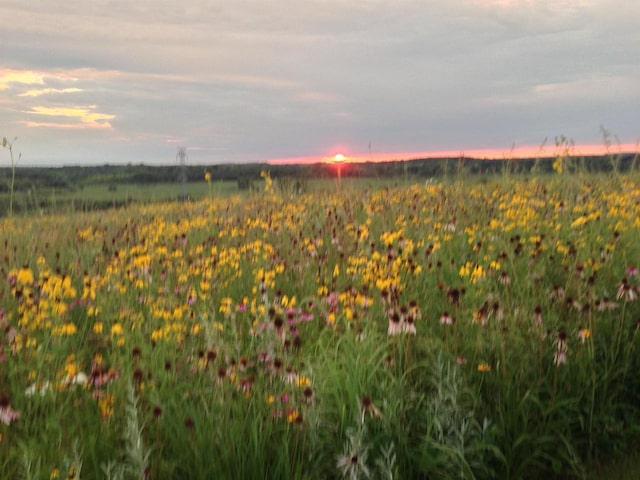 view of nature