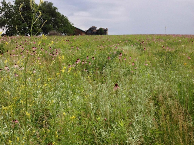 view of nature featuring a rural view