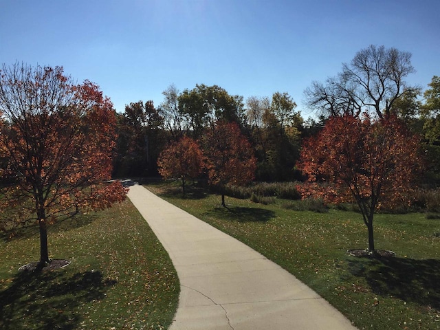 view of community featuring a yard