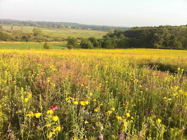 view of landscape featuring a rural view