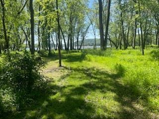 E4725 Riverside Dr, Spring Green, WI 53588 - view of local wilderness