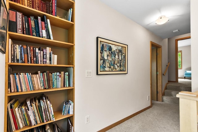 E4725 Riverside Dr, Spring Green, WI 53588 - corridor featuring carpet flooring and baseboards
