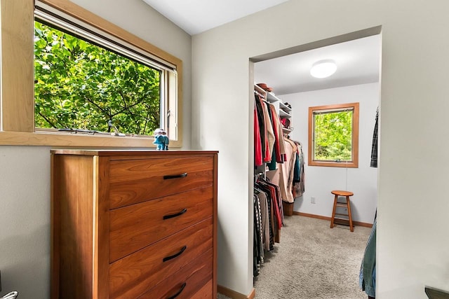 E4725 Riverside Dr, Spring Green, WI 53588 - walk in closet featuring carpet flooring