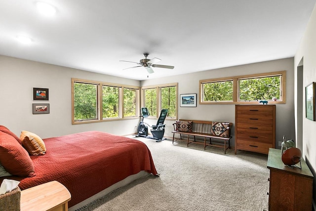 E4725 Riverside Dr, Spring Green, WI 53588 - carpeted bedroom featuring ceiling fan