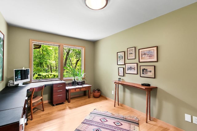 E4725 Riverside Dr, Spring Green, WI 53588 - office space featuring light wood-style flooring and baseboards