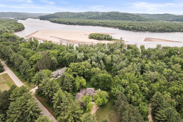 E4725 Riverside Dr, Spring Green, WI 53588 - drone / aerial view of a large body of water and a forest