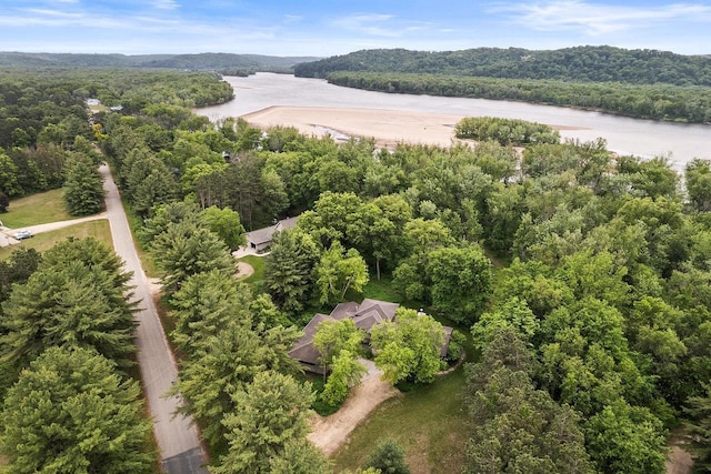 E4725 Riverside Dr, Spring Green, WI 53588 - bird's eye view of a forest and a nearby body of water