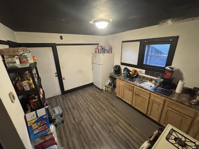 kitchen featuring dark hardwood / wood-style flooring, sink, and white fridge