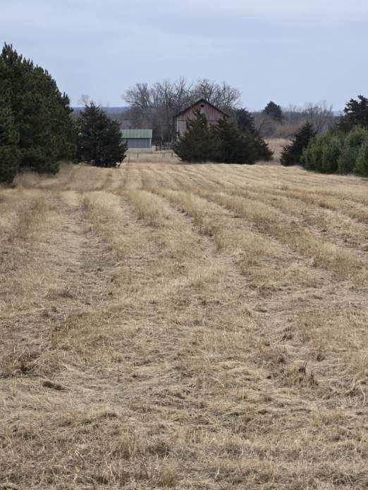 view of yard with a rural view