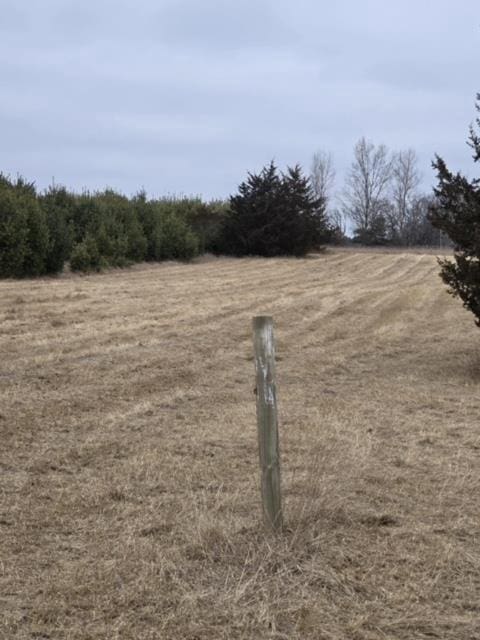 view of yard with a rural view