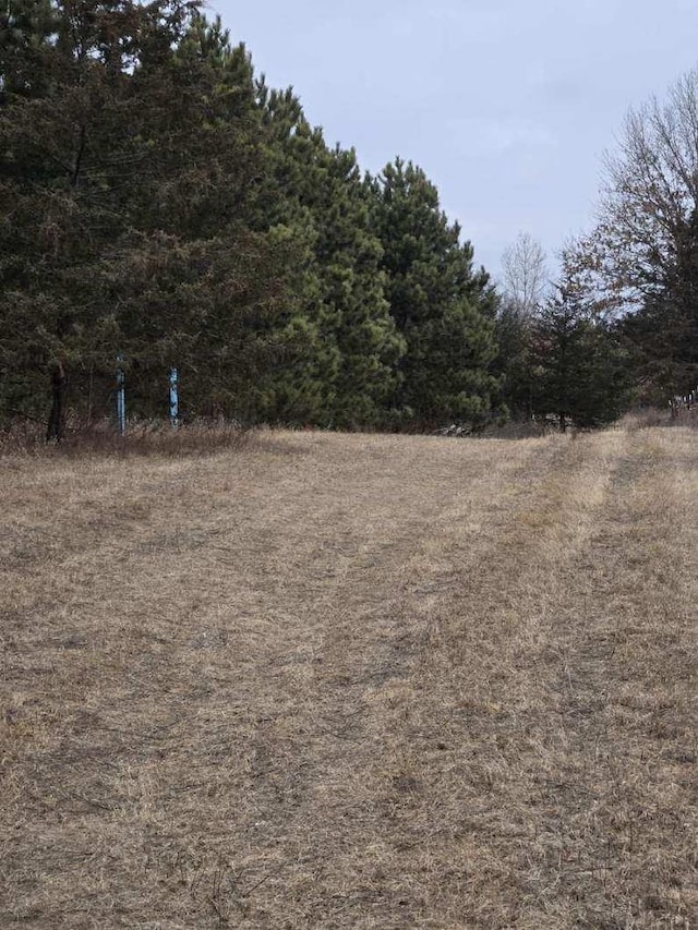 view of local wilderness