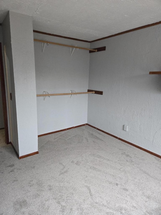 interior space with light colored carpet and a textured ceiling