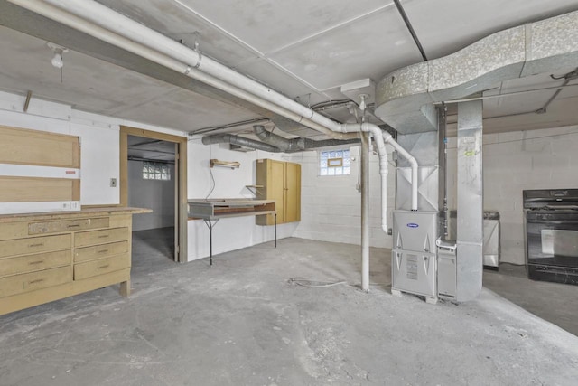 basement with heating unit