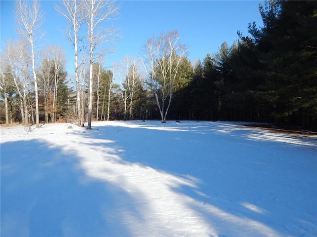 view of snowy yard